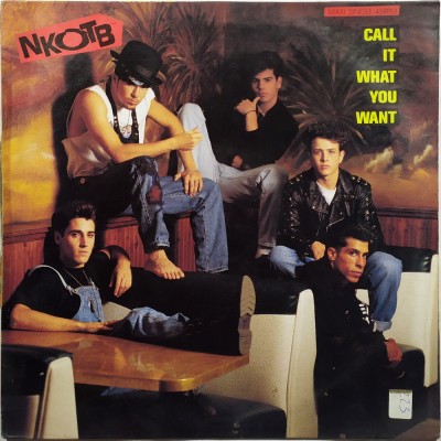 NEW KIDS ON THE BLOCK - Call it what you want (12")